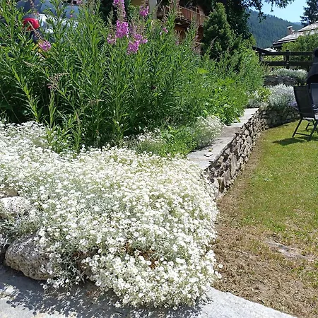 Ciabot La Garituela With Garden - Wifi- Close To The Chairlift アパート