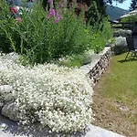 Ciabot La Garituela With Garden - Wifi- Close To The Chairlift דירה