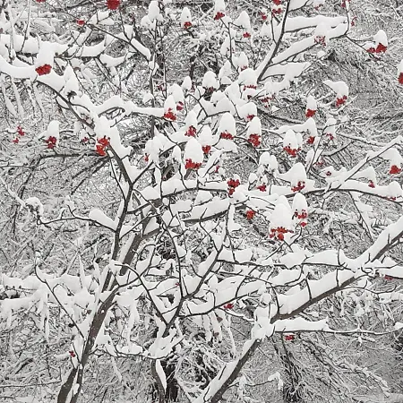 公寓 Ciabot La Garituela With Garden - Wifi- Close To The Chairlift *