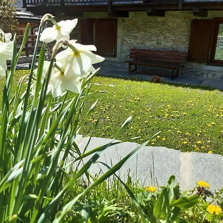 Ciabot La Garituela With Garden - Wifi- Close To The Chairlift דירה