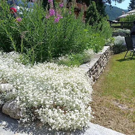Ciabot La Garituela With Garden - Wifi- Close To The Chairlift Apartment